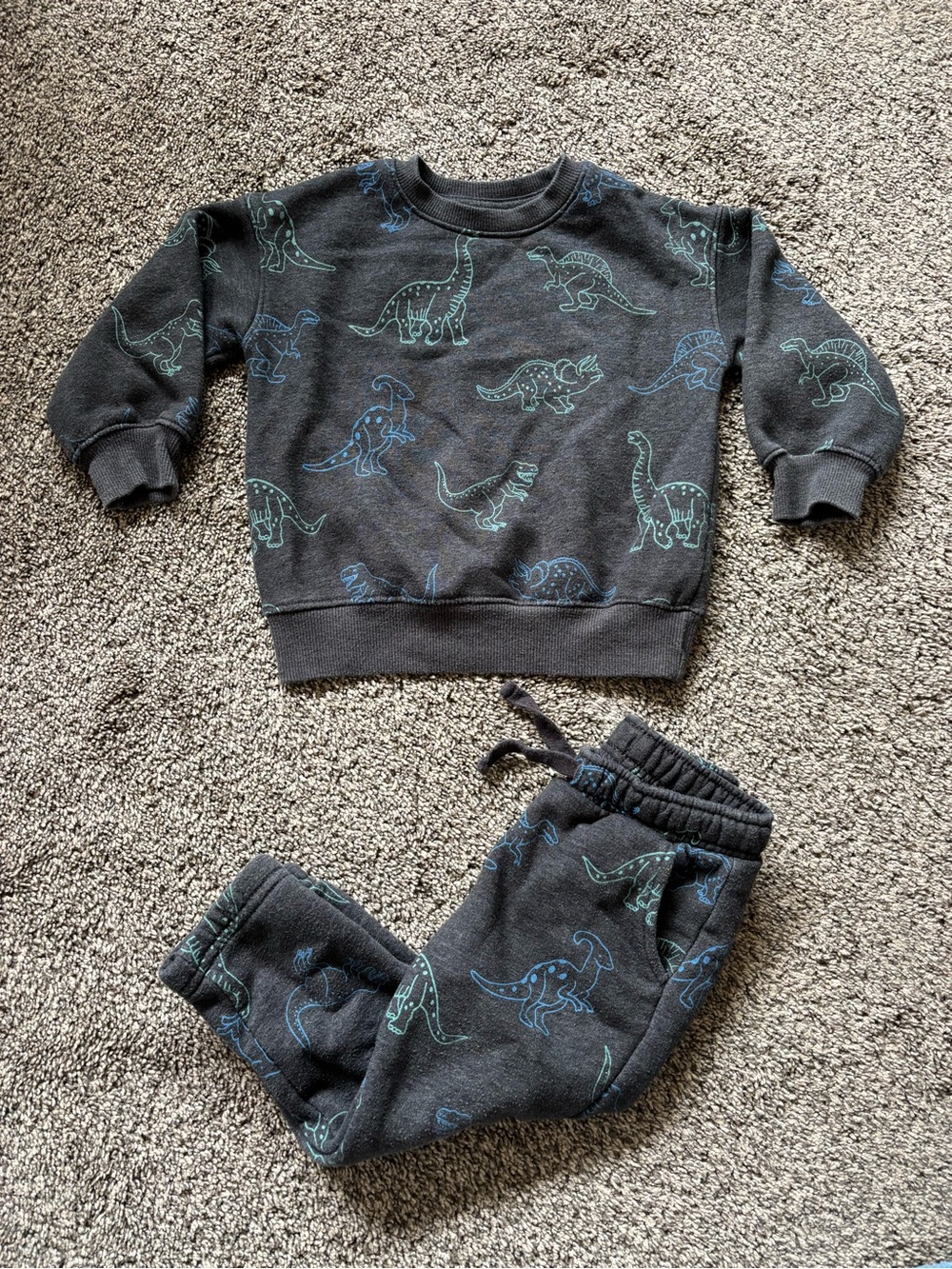 Cat & Jack Charcoal Sweatshirt & Joggers with Blue-Green Dinosaur Print